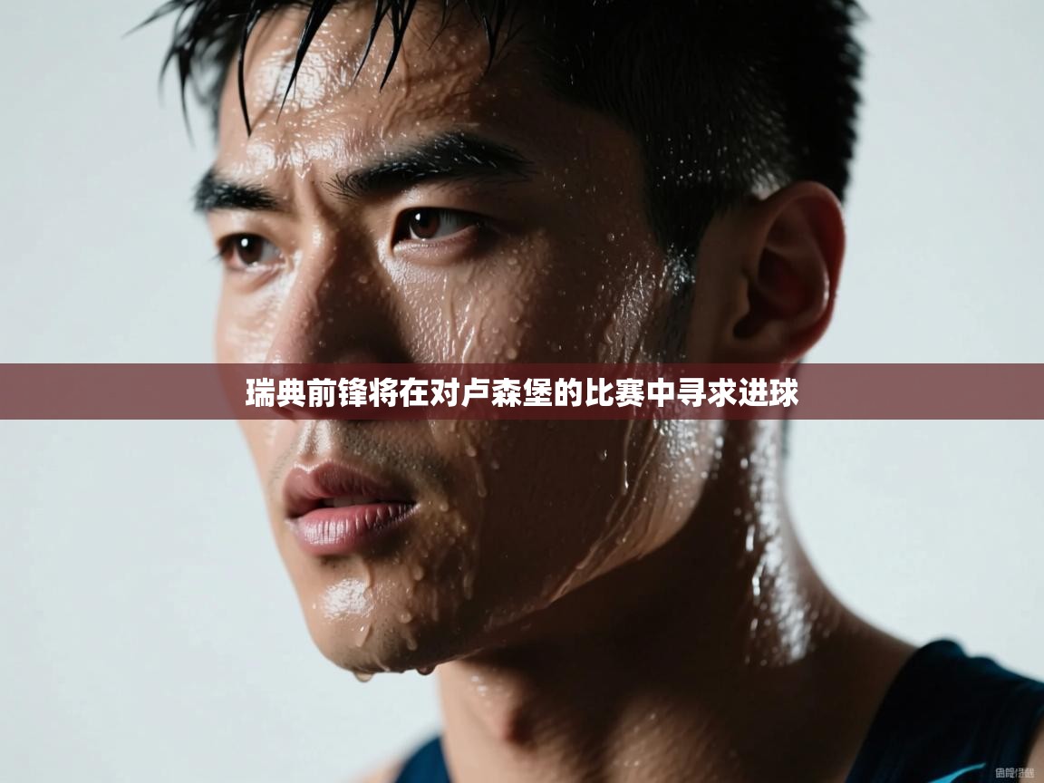 瑞典前锋将在对卢森堡的比赛中寻求进球  第2张