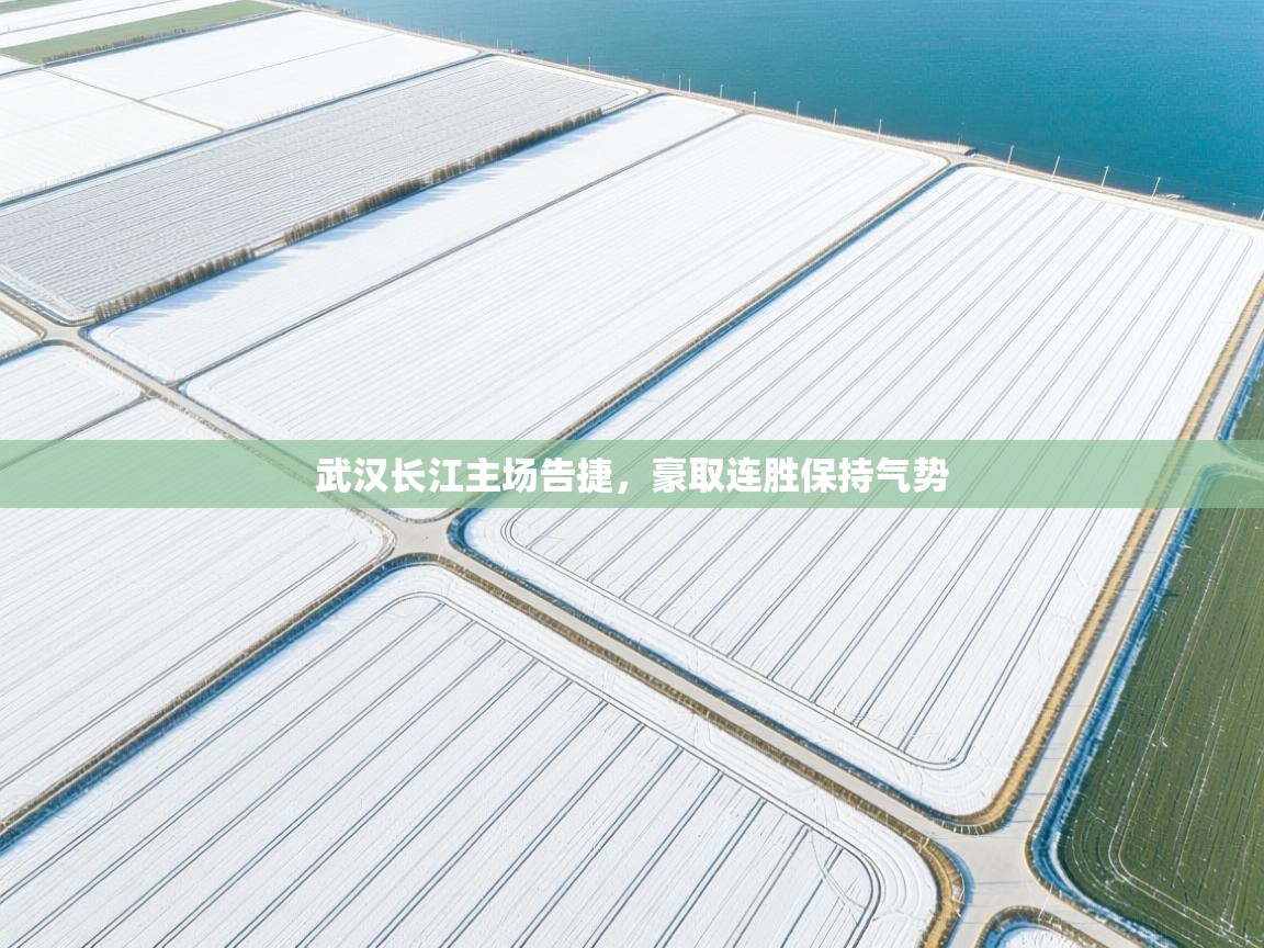 武汉长江主场告捷,豪取连胜保持气势 第1张