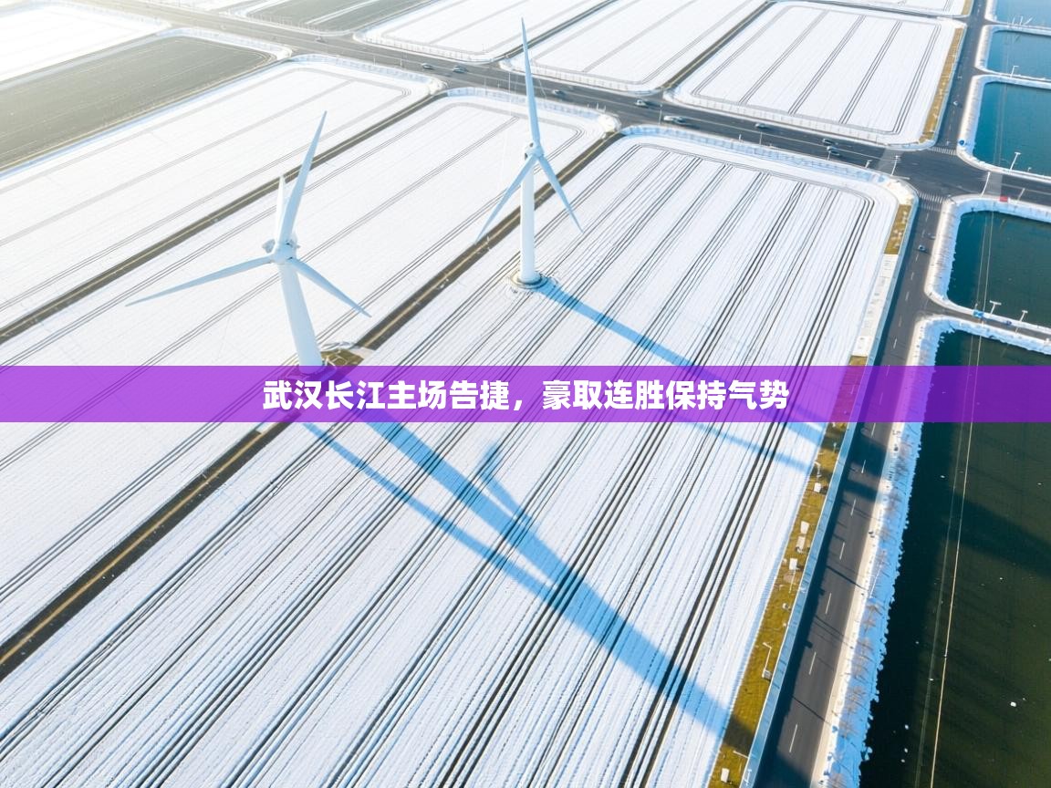 武汉长江主场告捷,豪取连胜保持气势 第2张