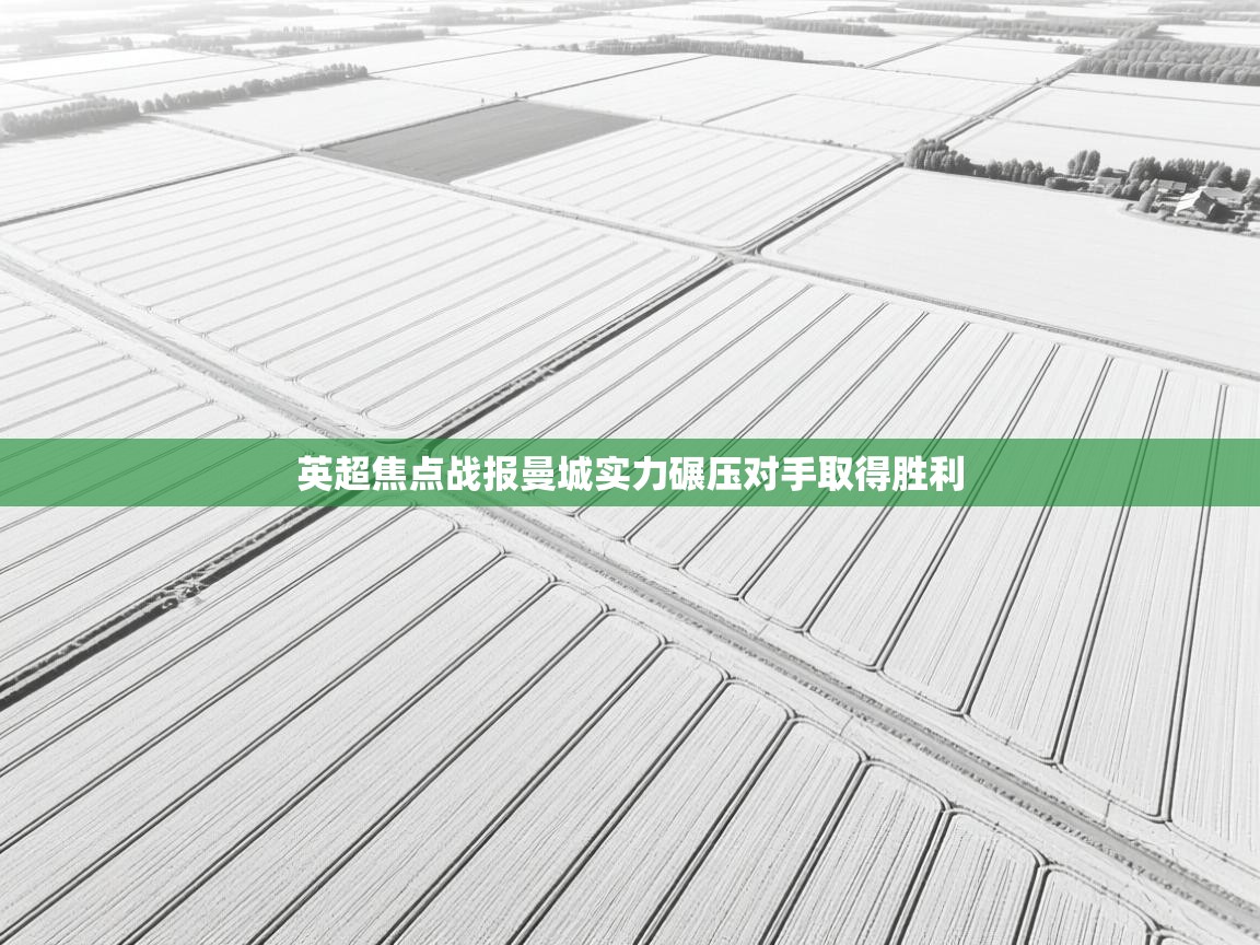 英超焦点战报曼城实力碾压对手取得胜利  第2张